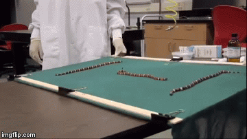 snakes on a plane.gif