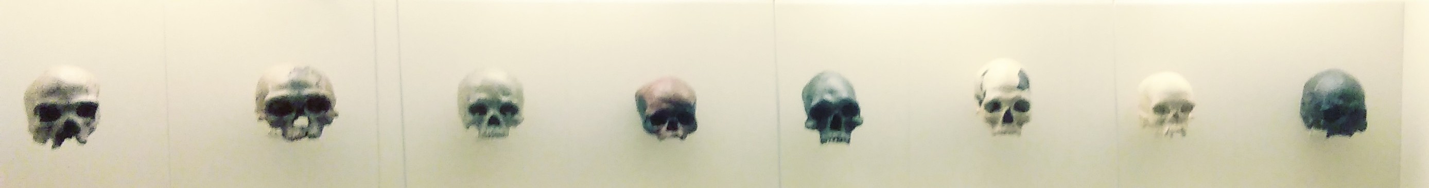 20181009_155712_Film3